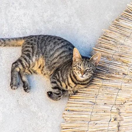 Hotel Peristeronas Village