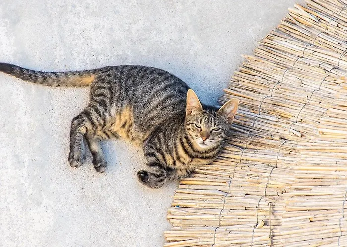 Hotel Peristeronas Village